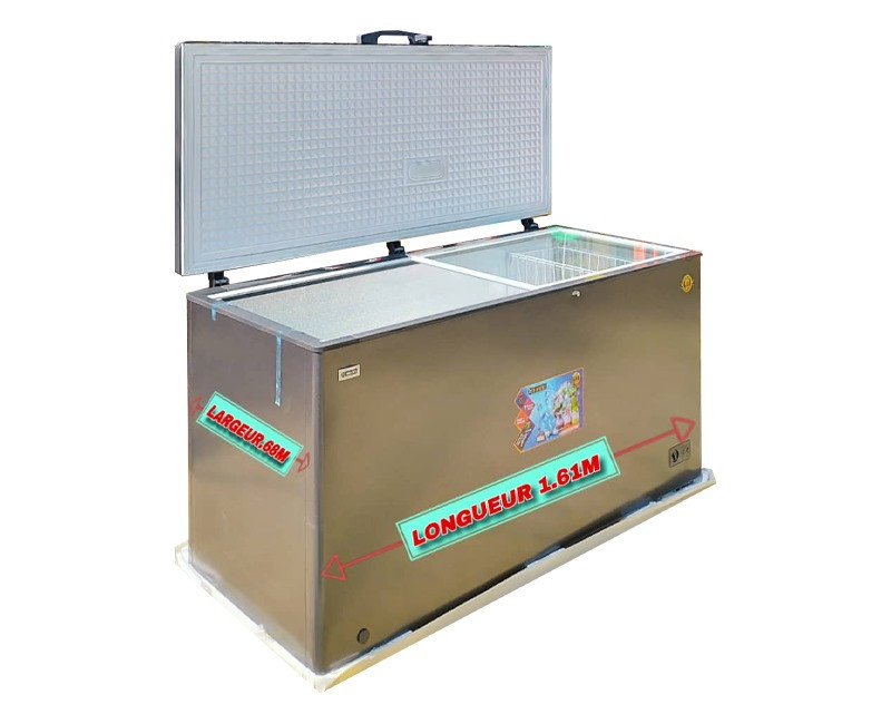 Congélateur NEON CF 541 - 520L