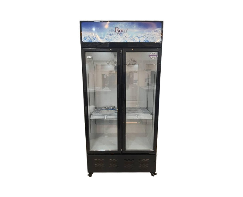 Vitrine Réfrigérée ROCH RSF680 – 550L Double Porte pour Professionnels