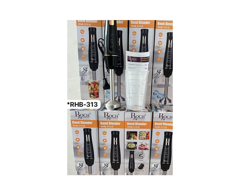 Mixeur plongeant ROCH RHB-313